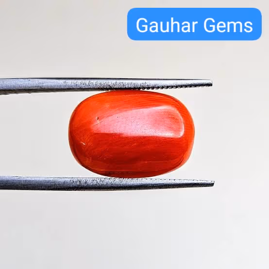 Red Coral - Gallery image 5