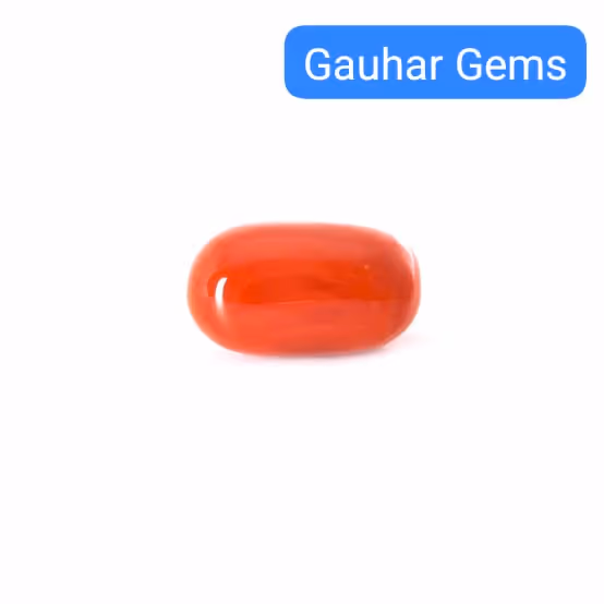 Red Coral - Gallery image 6